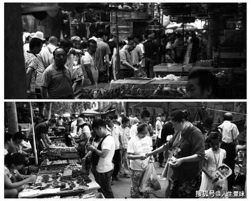 西安美食爆料小姐姐视频,跟随小姐姐视频解锁地道风味